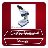 استریوزوم (استریومیکروسکوپ)