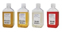 DMEM(high Glucose+Glutamax TM)-Dulbecco,s Modification of Eagles Medium