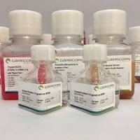 (PBS (Phosphate-Buffered Saline)(solution) (1X 