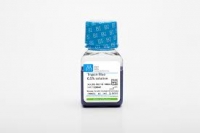 Trypan Blue
