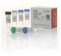 کیت استخراج DNA از بافت