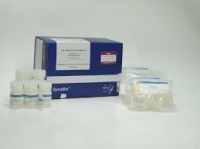 کیت سنتز cDNA