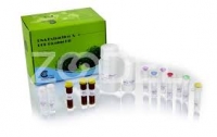 کیت استخراج DNA  از بافت و کشت سلولی