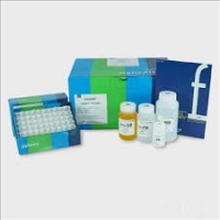 کیت جداسازی DNA از ژل