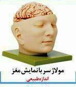 مولاژ سر و مغز