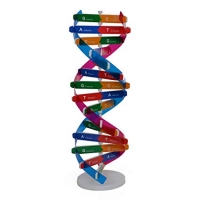 مدل DNA