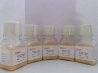 Agar, Bacteriological 100 gram 